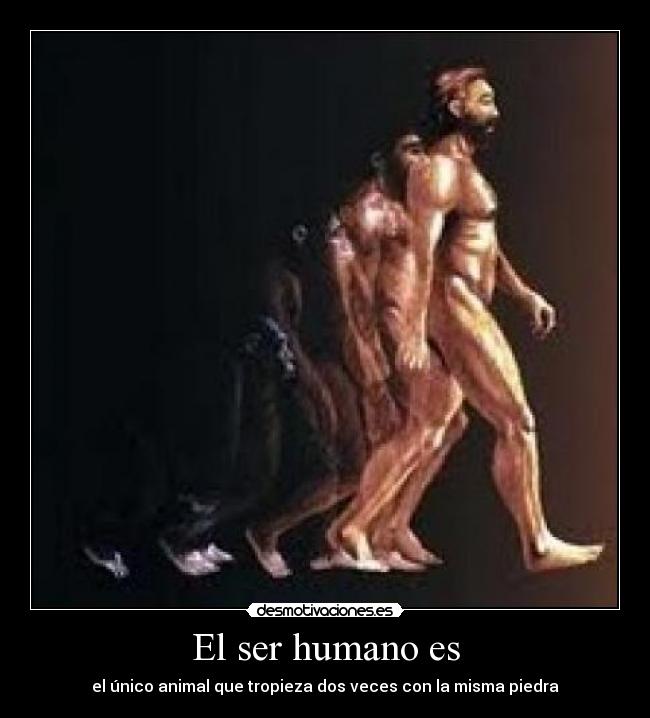 El ser humano es - 