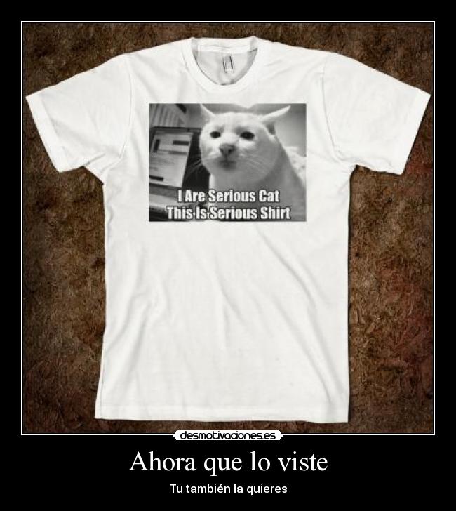 Ahora que lo viste -