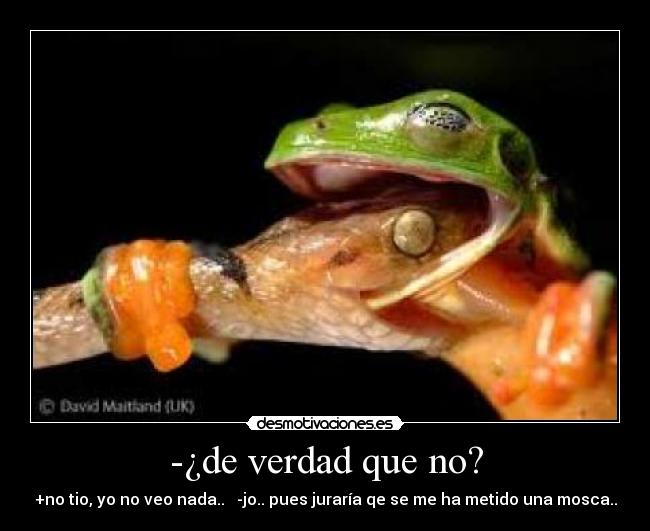 -¿de verdad que no? -