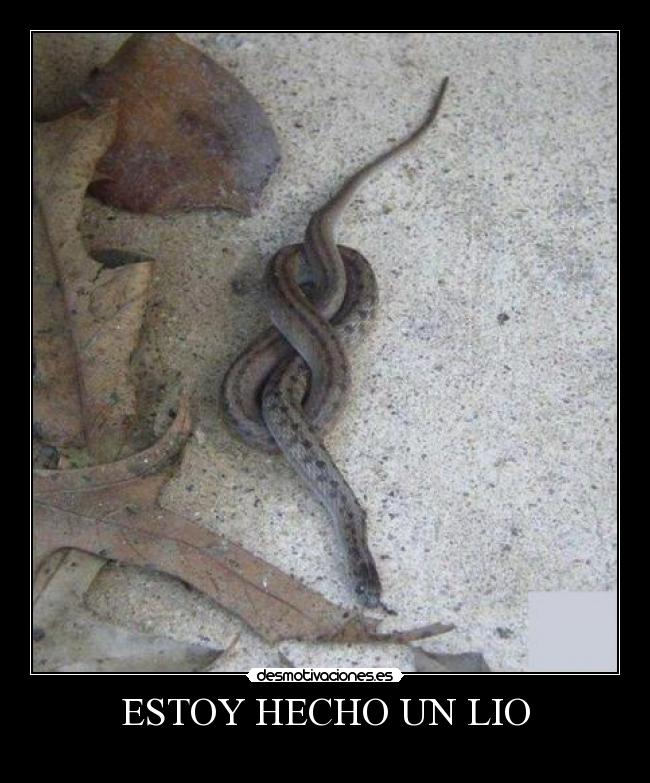 ESTOY HECHO UN LIO -
