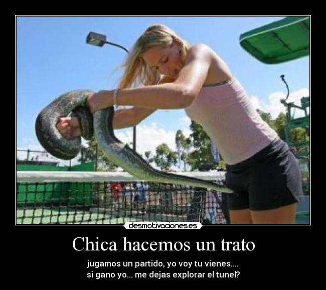 carteles chica hacemos trato desmotivaciones