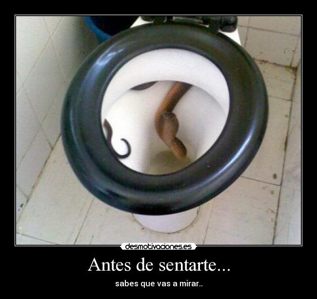 Antes de sentarte... - sabes que vas a mirar..
