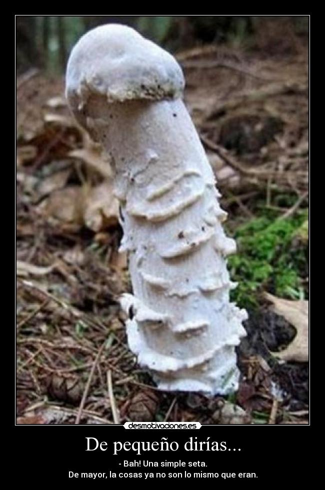 De pequeño dirías... -