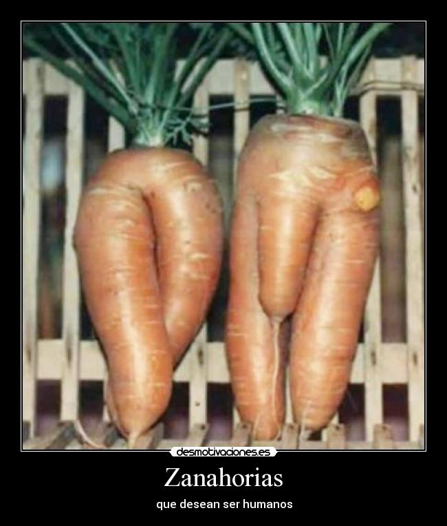 Zanahorias -