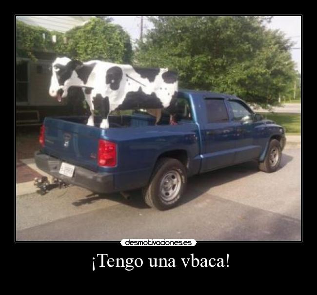 ¡Tengo una vbaca! - 
