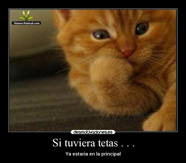 Si tuviera tetas . . . -