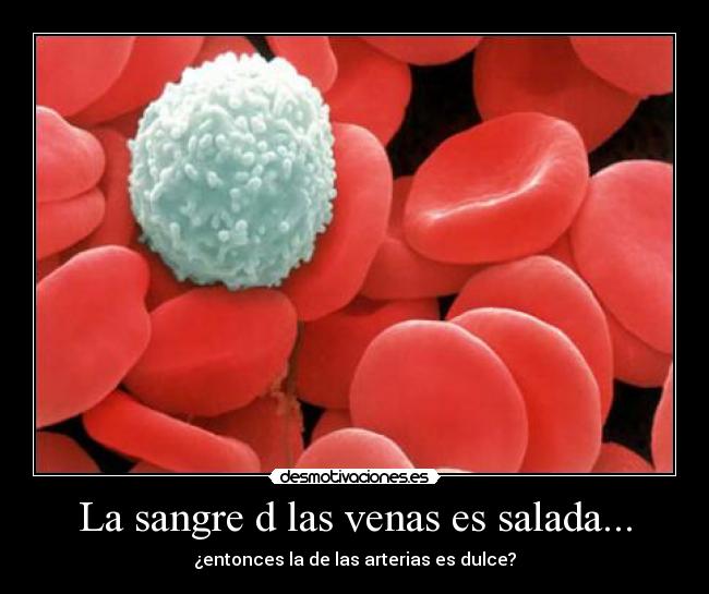 La sangre d las venas es salada... -