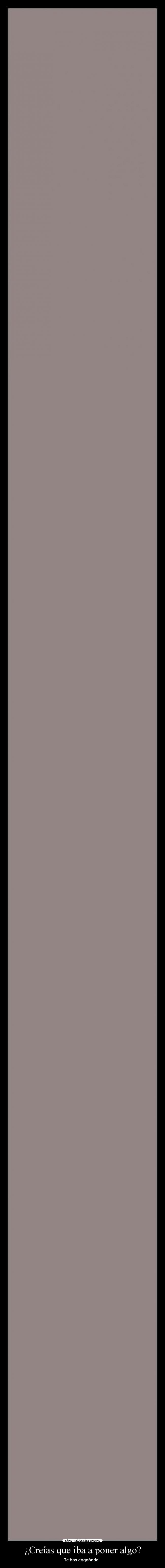 ¿Creías que iba a poner algo? -