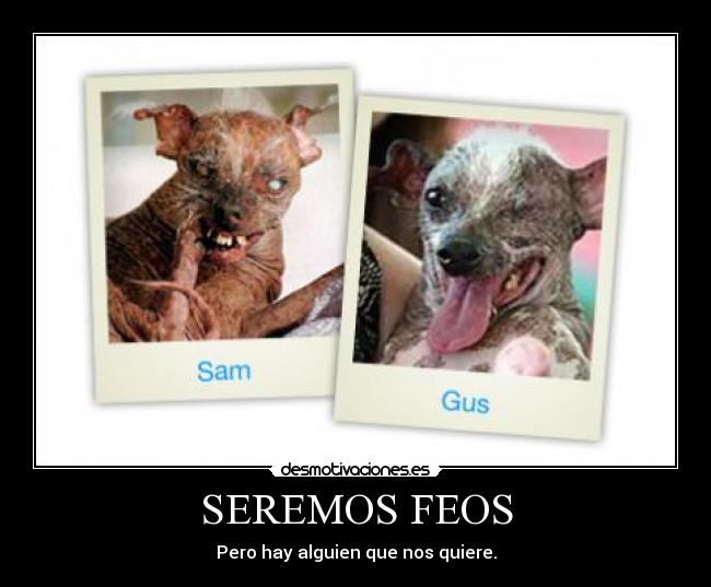 SEREMOS FEOS - Pero hay alguien que nos quiere.