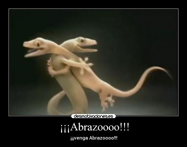 ¡¡¡Abrazoooo!!! - 