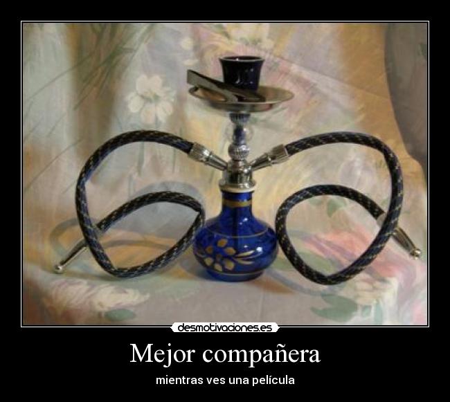 Mejor compañera - mientras ves una película