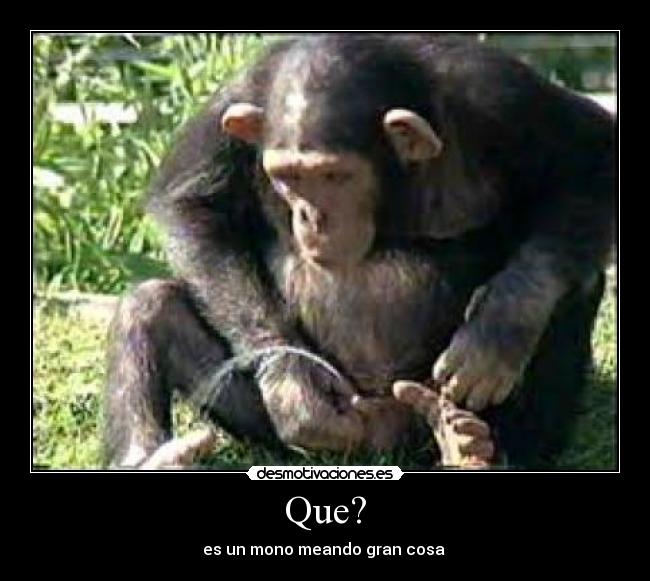 Que? - 