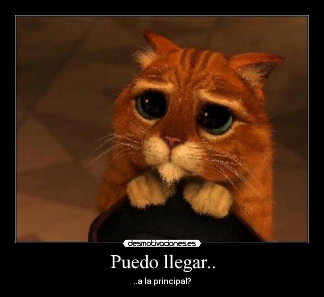 Puedo llegar.. -