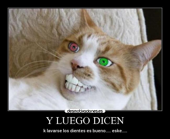 Y LUEGO DICEN -