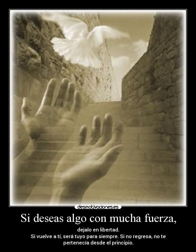 carteles deseas algo desmotivaciones