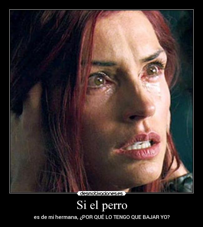 Si el perro - es de mi hermana, ¿POR QUÉ LO TENGO QUE BAJAR YO?