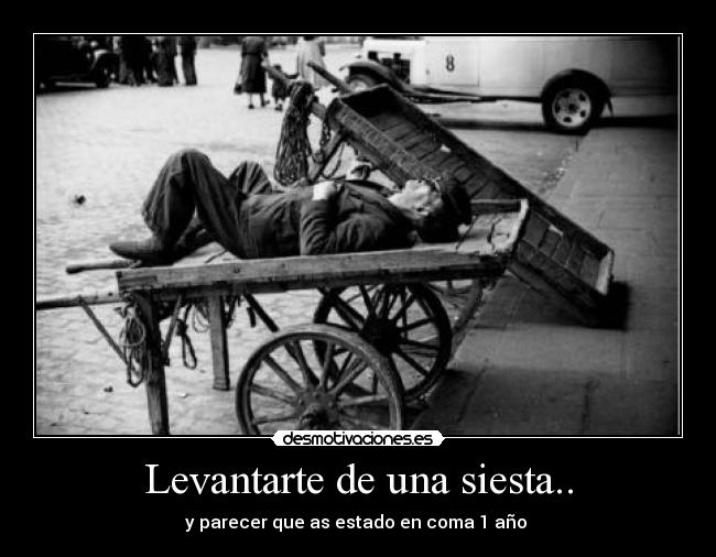 carteles nose desmotivaciones