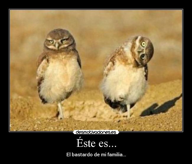 Éste es... - El bastardo de mi familia...