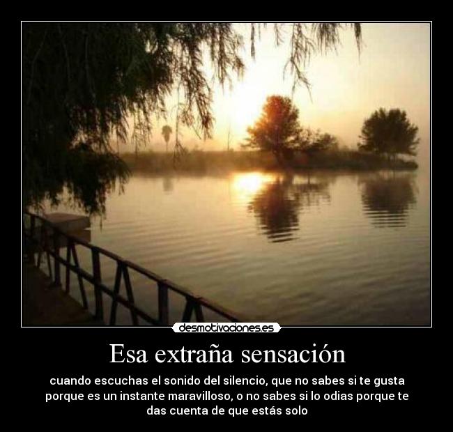 Esa extraña sensación - 