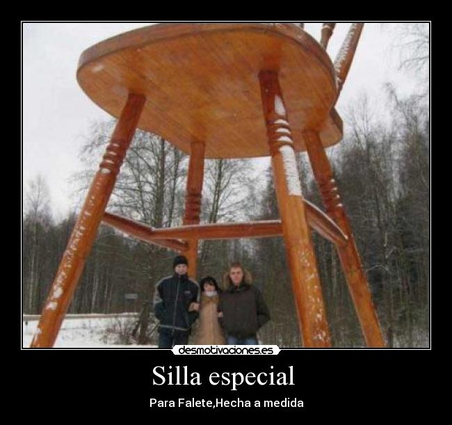 Silla especial  - 