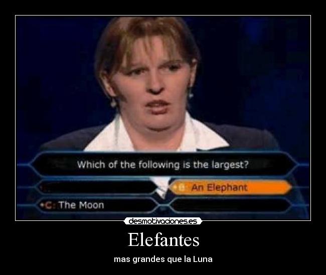 Elefantes - mas grandes que la Luna