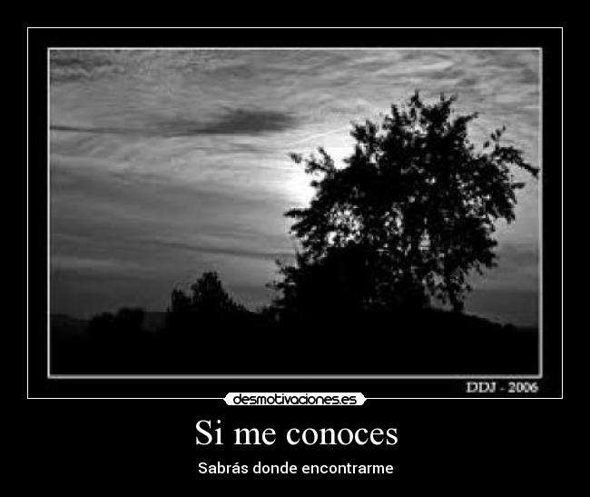 Si me conoces -