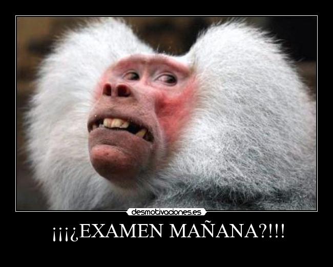 ¡¡¡¿EXAMEN MAÑANA?!!! -