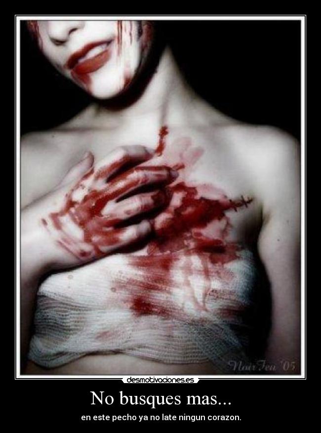 No busques mas... - 