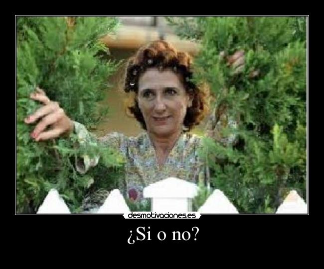 ¿Si o no? -