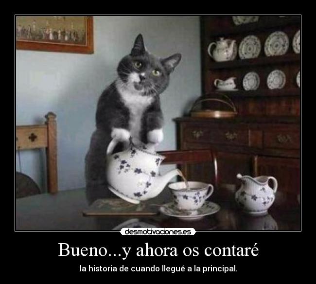 Bueno...y ahora os contaré -