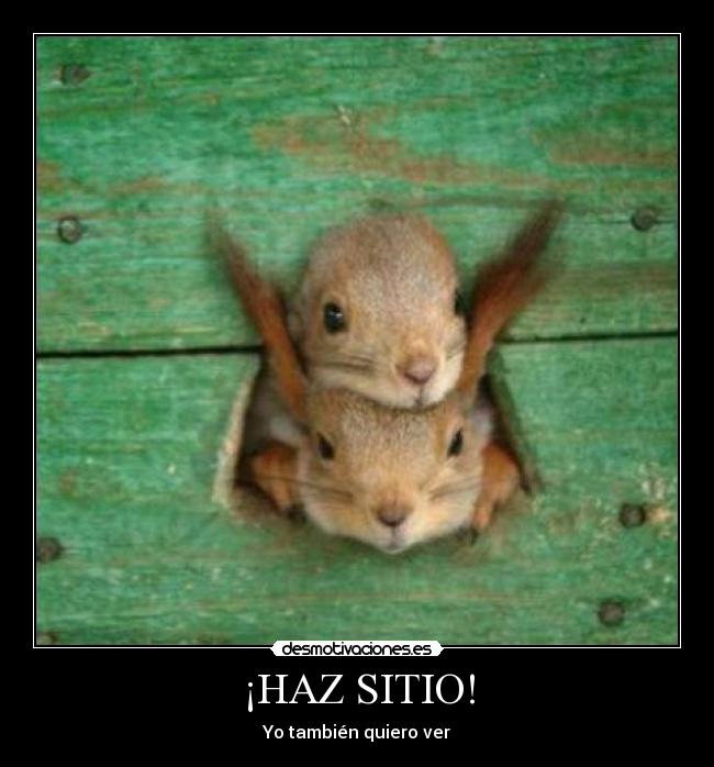 ¡HAZ SITIO! - 