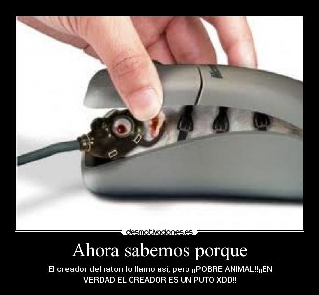 Ahora sabemos porque - El creador del raton lo llamo asi, pero ¡¡POBRE ANIMAL!!¡¡EN
VERDAD EL CREADOR ES UN PUTO XDD!!