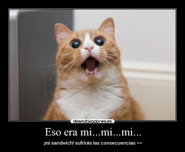 Eso era mi...mi...mi... -