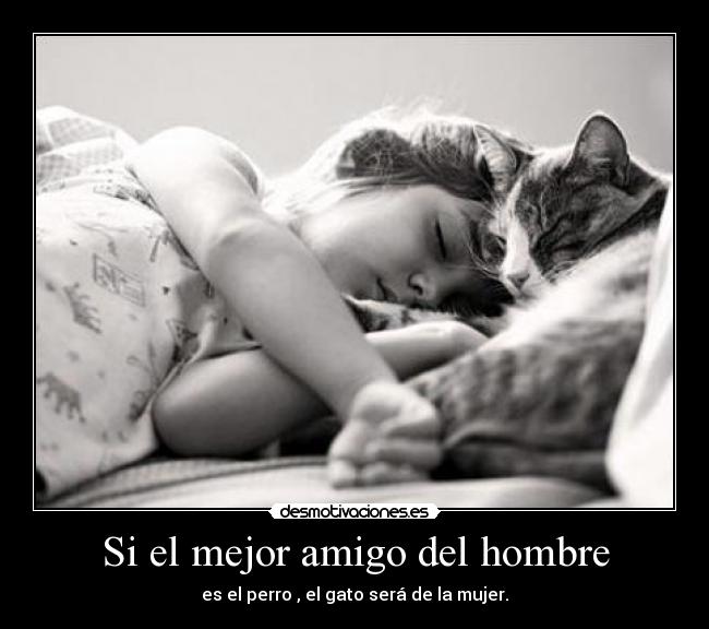 Si el mejor amigo del hombre - es el perro , el gato será de la mujer.