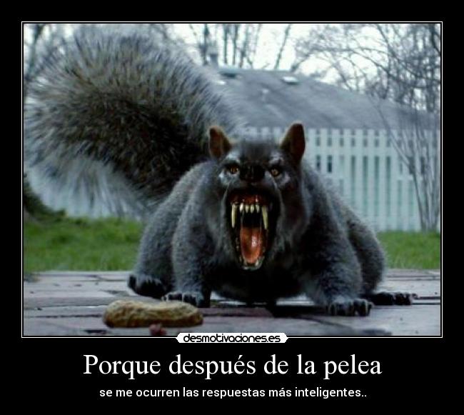 Porque después de la pelea -