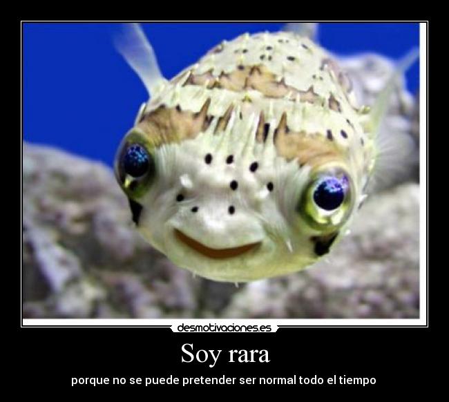 Soy rara - 