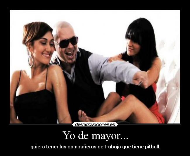 Yo de mayor... - quiero tener las compañeras de trabajo que tiene pitbull.