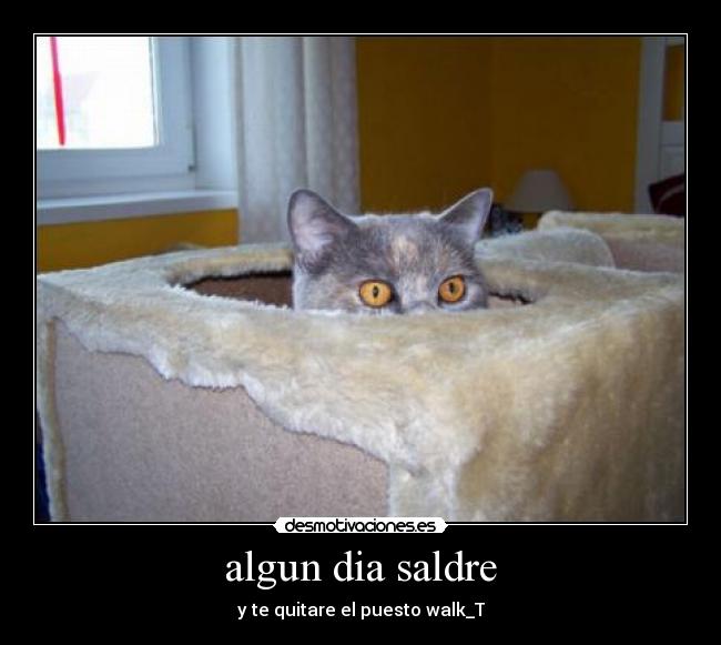 algun dia saldre - y te quitare el puesto walk_T