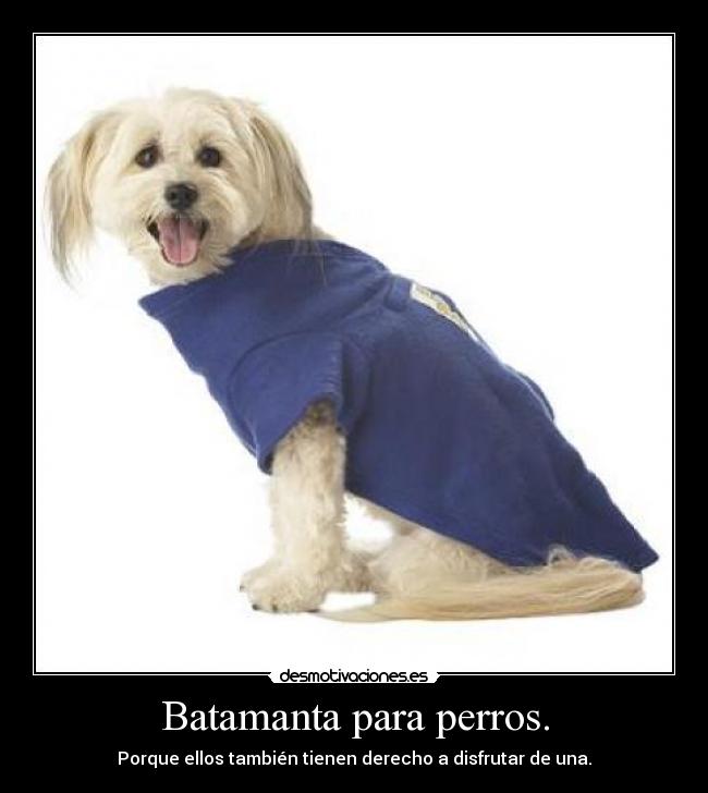 Batamanta para perros. - Porque ellos también tienen derecho a disfrutar de una.