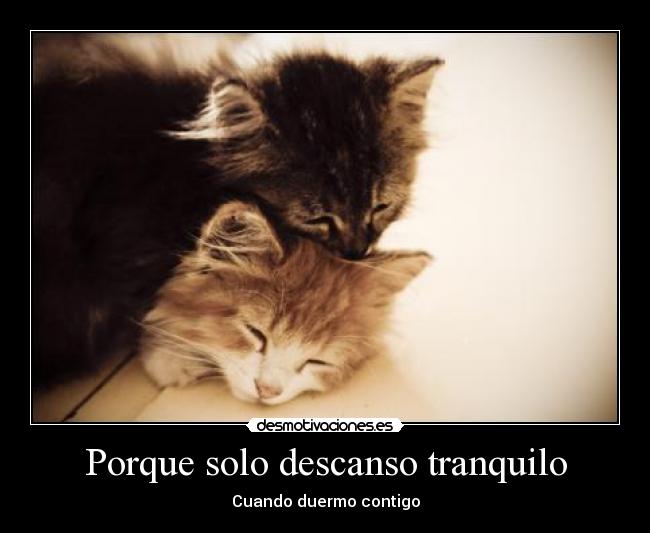 Porque solo descanso tranquilo - 