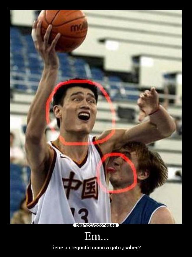 Em... - tiene un regustin como a gato ¿sabes?