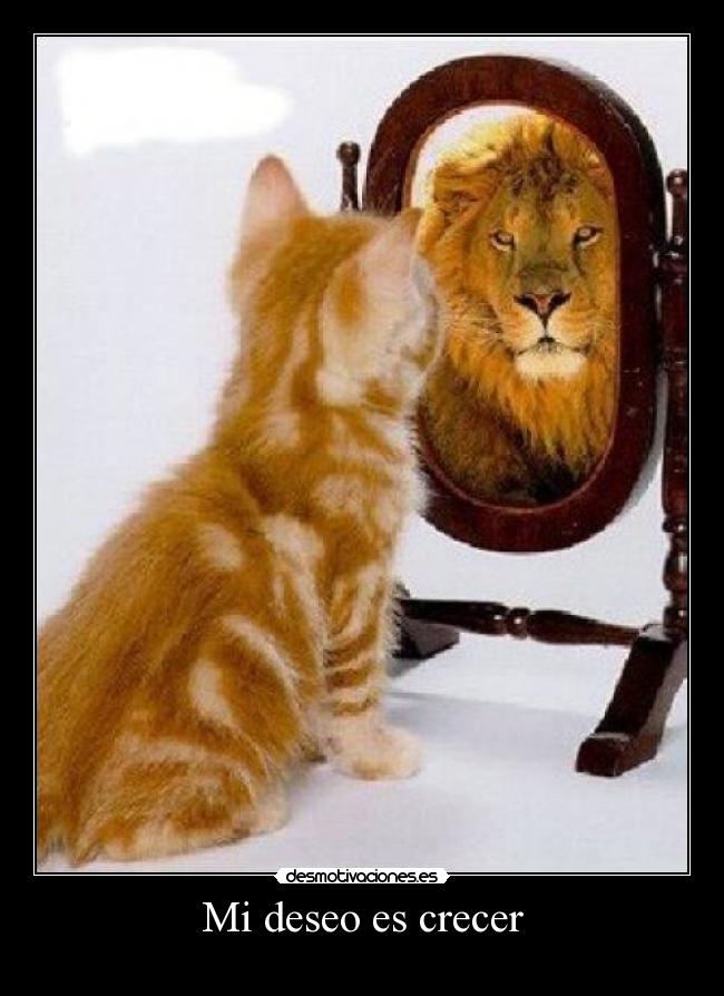 Mi deseo es crecer - 