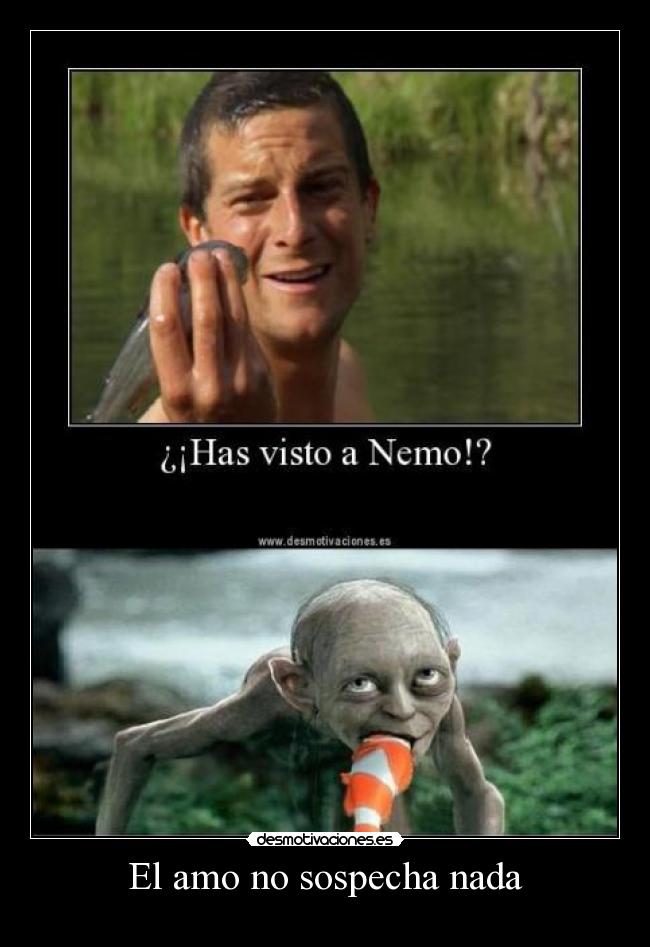 El amo no sospecha nada - 