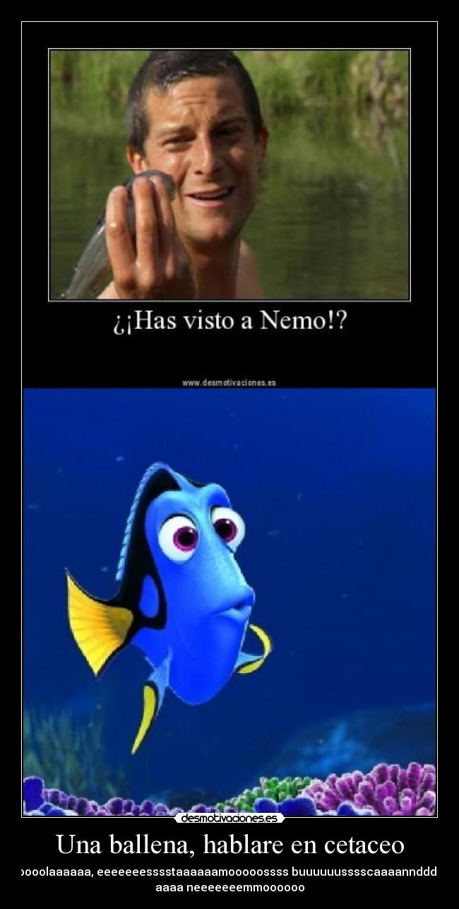carteles nemo dori buscando nemo desmotivaciones