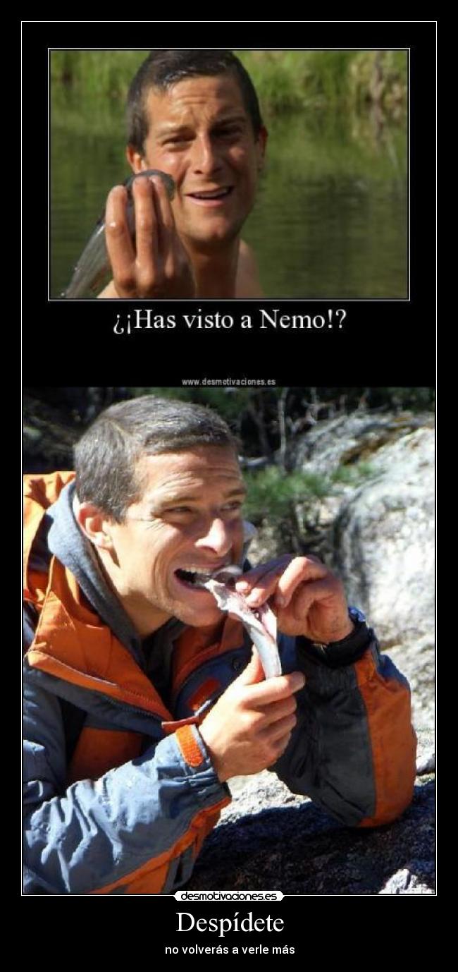 Despídete - no volverás a verle más