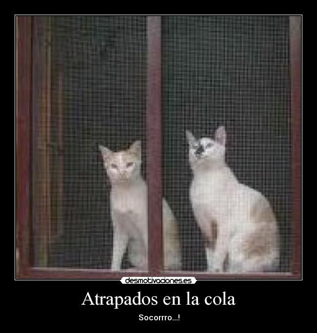 Atrapados en la cola - Socorrro...!