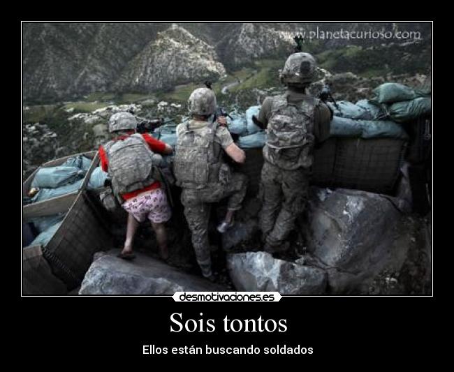 Sois tontos - Ellos están buscando soldados