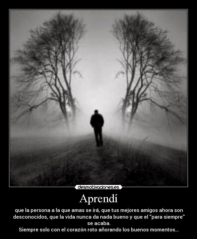 Aprendí - que la persona a la que amas se irá, que tus mejores amigos ahora son
desconocidos, que la vida nunca da nada bueno y que el para siempre
se acaba.
Siempre solo con el corazón roto añorando los buenos momentos...