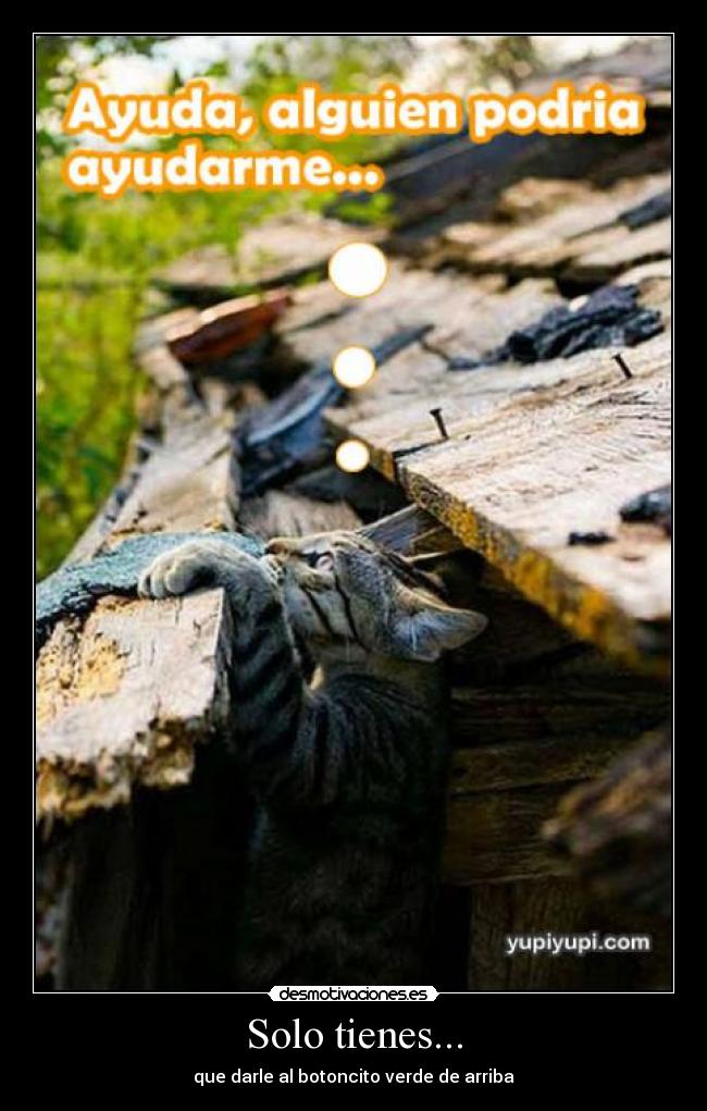 Solo tienes... - que darle al botoncito verde de arriba