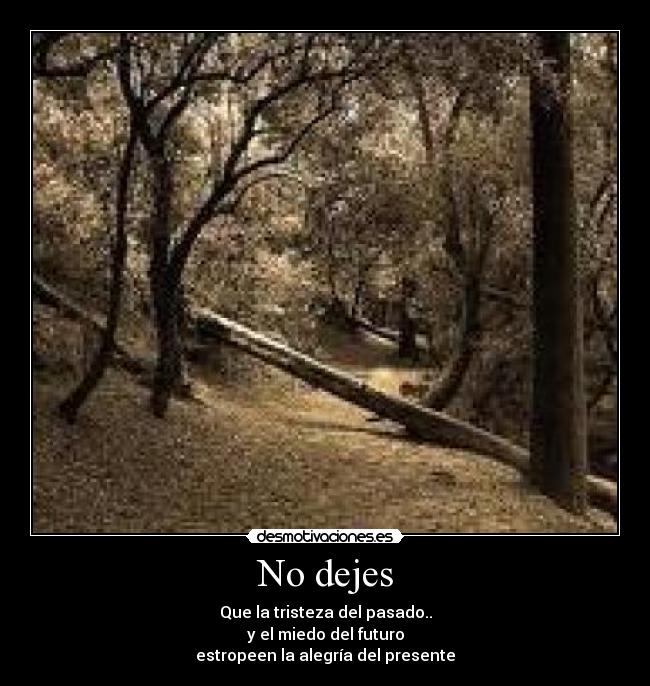 No dejes - 